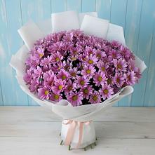 Букет цветов из:  Хризантемы в Бояркино