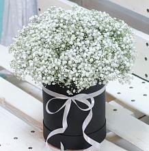 Цветочная композиция из Гипсофила в шляпной коробке #REPLACE_PRED# Бояркино